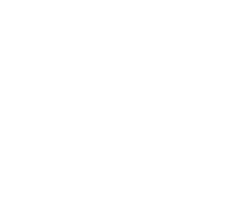 Cary Performance logo